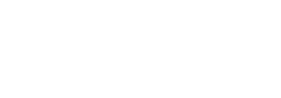 Lisk